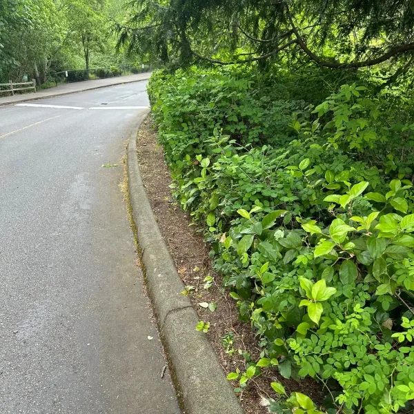 villagomezjrgeneralcontractor (47)